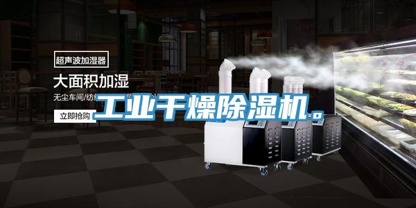 工业干燥91免费网站在线观看。