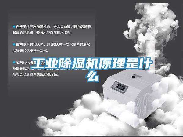工业91免费网站在线观看原理是什么