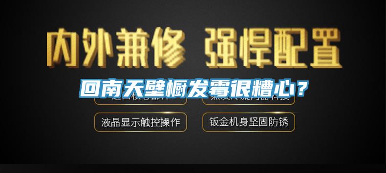 回南天壁橱发霉很糟心？