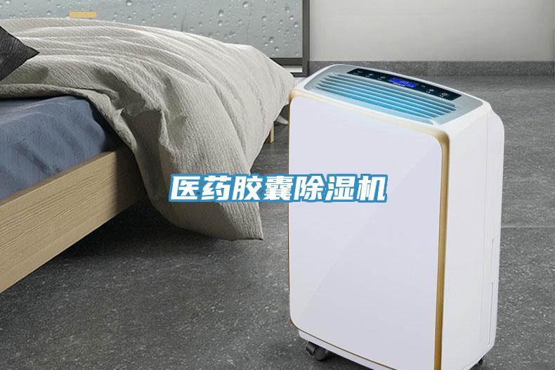 医药胶囊91免费网站在线观看
