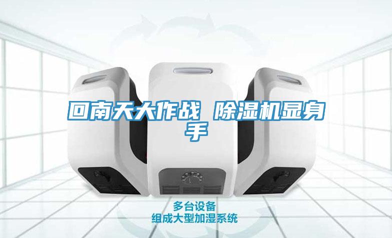 回南天大作战 91免费网站在线观看显身手