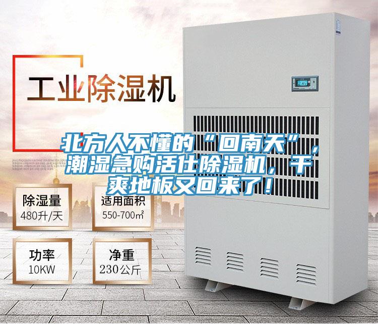 北方人不懂的“回南天”，潮湿急购活仕91免费网站在线观看，干爽地板又回来了！