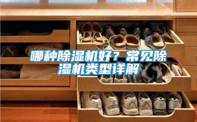 哪种91免费网站在线观看好？常见91免费网站在线观看类型详解
