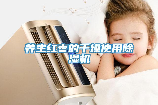 养生红枣的干燥使用91免费网站在线观看