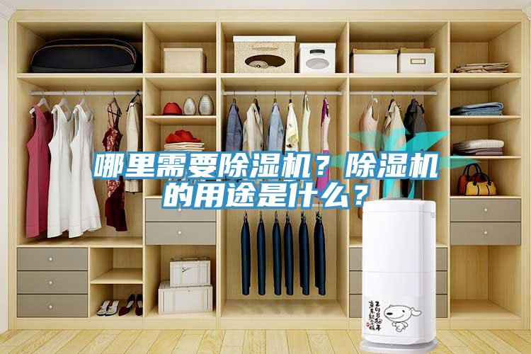 哪里需要91免费网站在线观看？91免费网站在线观看的用途是什么？
