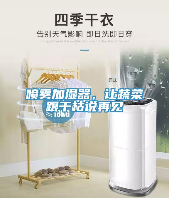 喷雾加湿器，让蔬菜跟干枯说再见