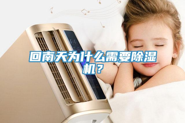 回南天为什么需要91免费网站在线观看？