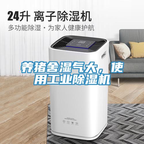 养猪舍湿气大，使用工业91免费网站在线观看
