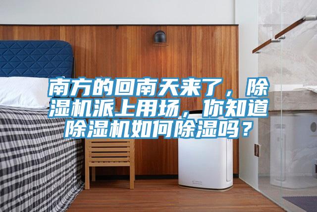 南方的回南天来了，91免费网站在线观看派上用场，你知道91免费网站在线观看如何除湿吗？