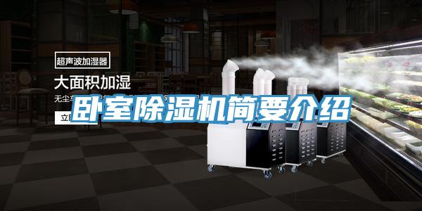 卧室91免费网站在线观看简要介绍