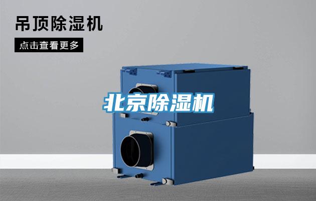 北京91免费网站在线观看