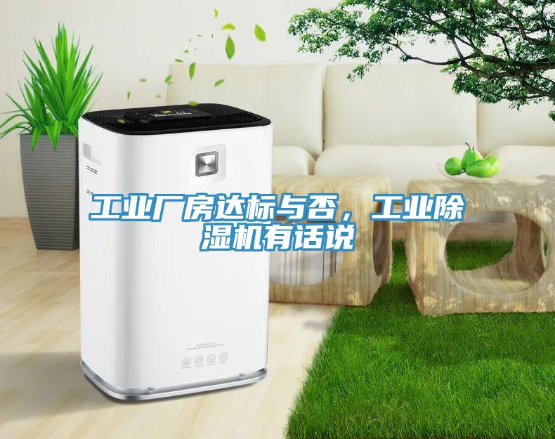 工业厂房达标与否，工业91免费网站在线观看有话说