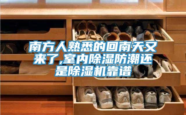 南方人熟悉的回南天又来了,室内除湿防潮还是91免费网站在线观看靠谱