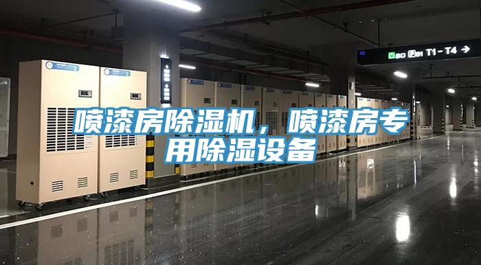 喷漆房91免费网站在线观看，喷漆房专用除湿设备