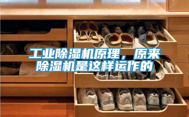 工业91免费网站在线观看原理，原来91免费网站在线观看是这样运作的