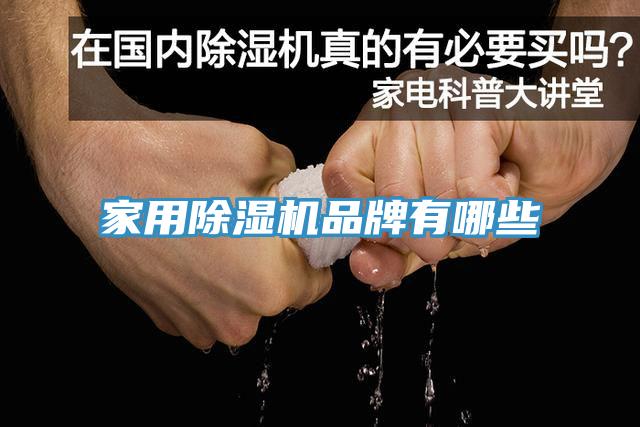 家用91免费网站在线观看品牌有哪些
