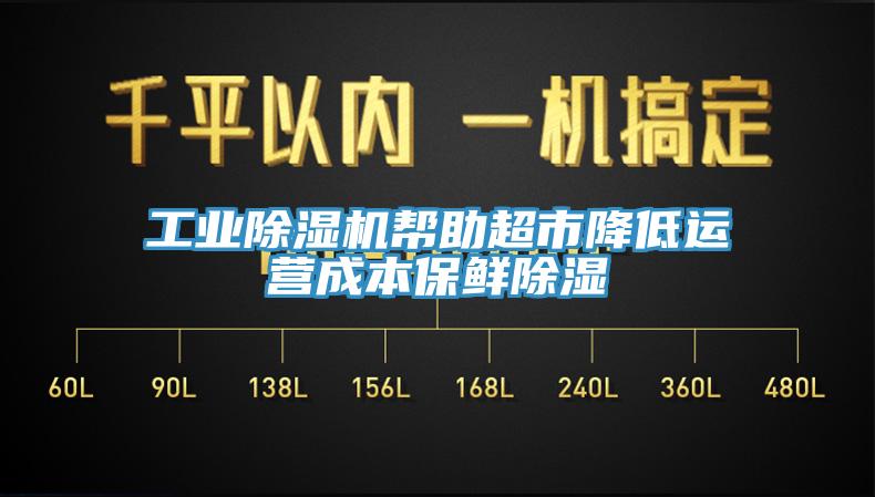工业91免费网站在线观看帮助超市降低运营成本保鲜除湿
