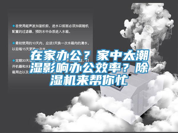在家办公？家中太潮湿影响办公效率？91免费网站在线观看来帮你忙