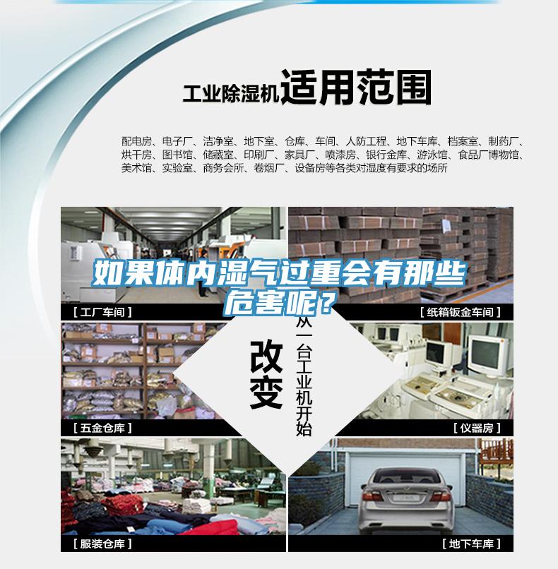 如果体内湿气过重会有那些危害呢？