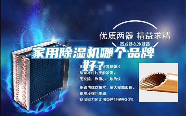 家用91免费网站在线观看哪个品牌好？