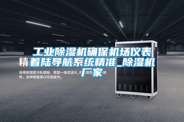 工业91免费网站在线观看确保机场仪表着陆导航系统精准_91免费网站在线观看厂家