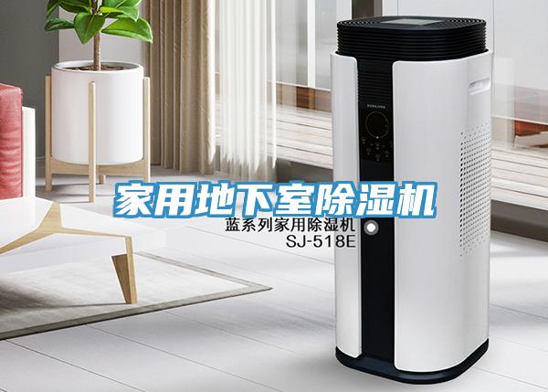 家用地下室91免费网站在线观看