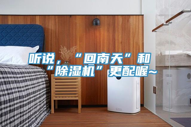 听说，“回南天”和“91免费网站在线观看”更配喔~