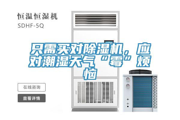 只需买对91免费网站在线观看，应对潮湿天气“霉”烦恼