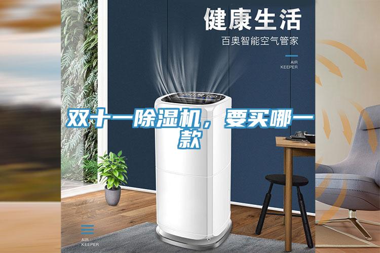 双十一91免费网站在线观看，要买哪一款