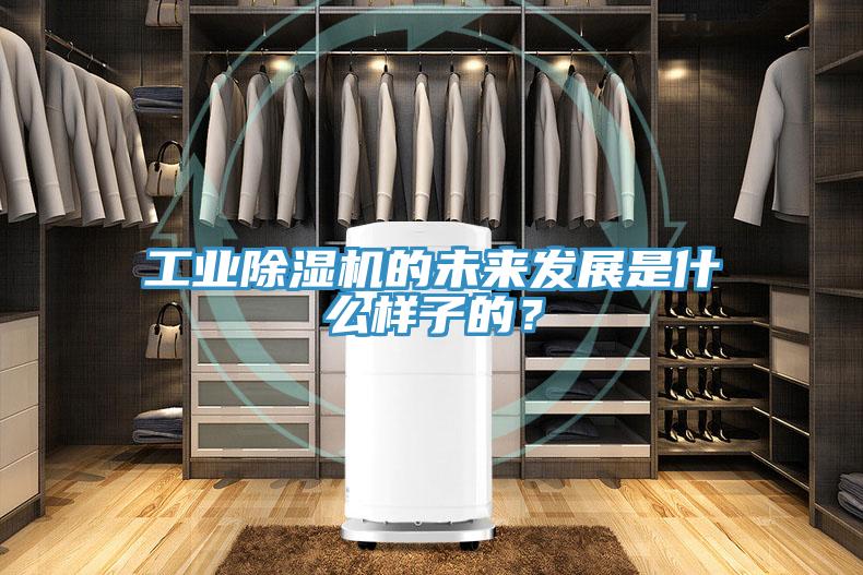 工业91免费网站在线观看的未来发展是什么样子的？