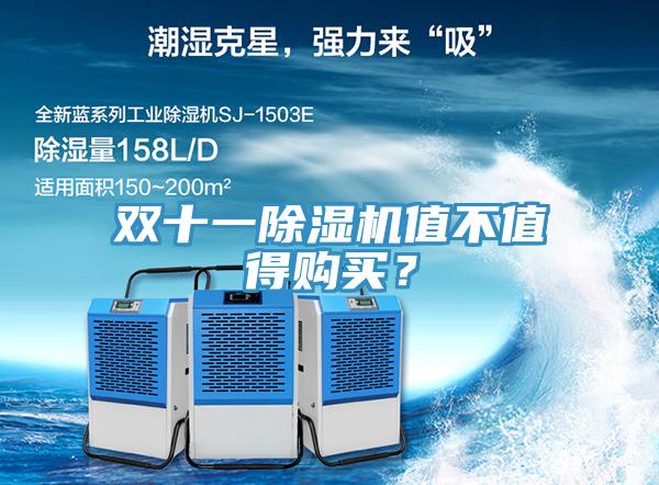 双十一91免费网站在线观看值不值得购买？