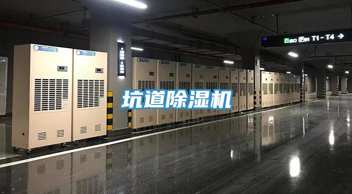 坑道91免费网站在线观看