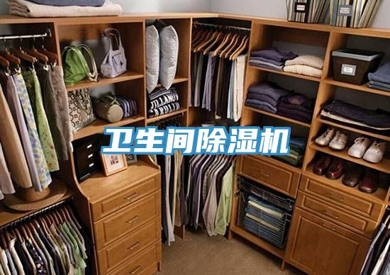 卫生间91免费网站在线观看
