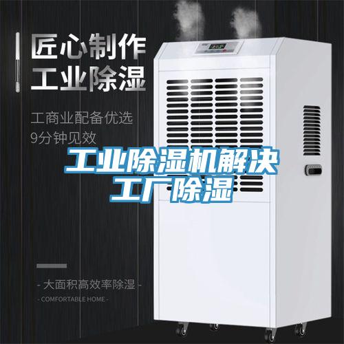 工业91免费网站在线观看解决工厂除湿
