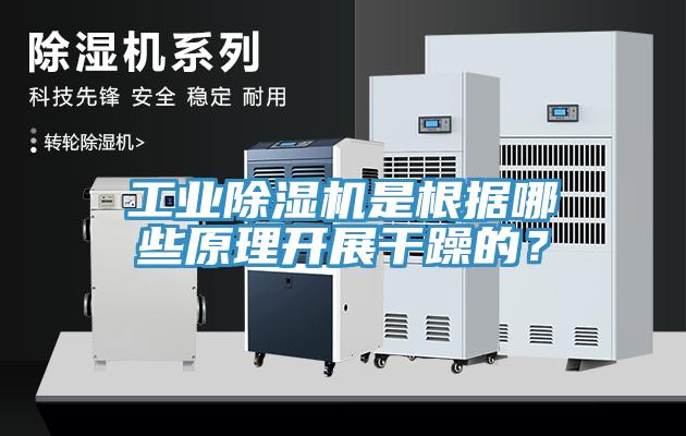 工业91免费网站在线观看是根据哪些原理开展干躁的？