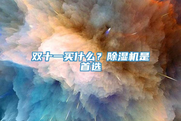 双十一买什么？91免费网站在线观看是首选