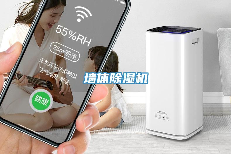墙体91免费网站在线观看