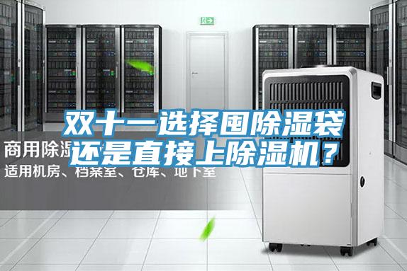 双十一选择囤除湿袋还是直接上91免费网站在线观看？