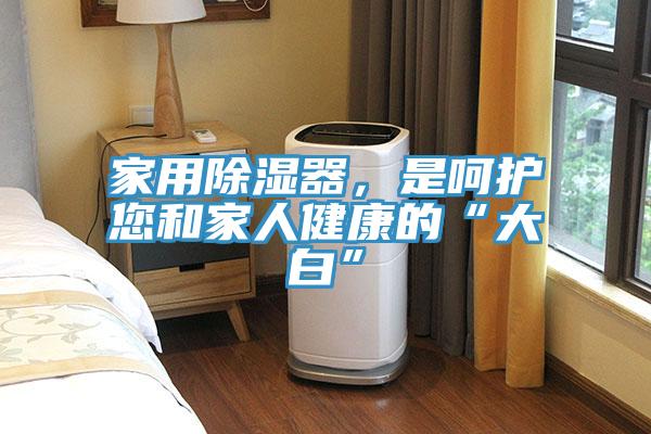 家用除湿器，是呵护您和家人健康的“大白”