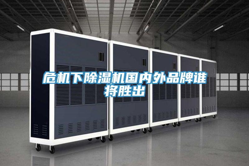 危机下91免费网站在线观看国内外品牌谁将胜出