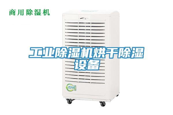 工业91免费网站在线观看烘干除湿设备