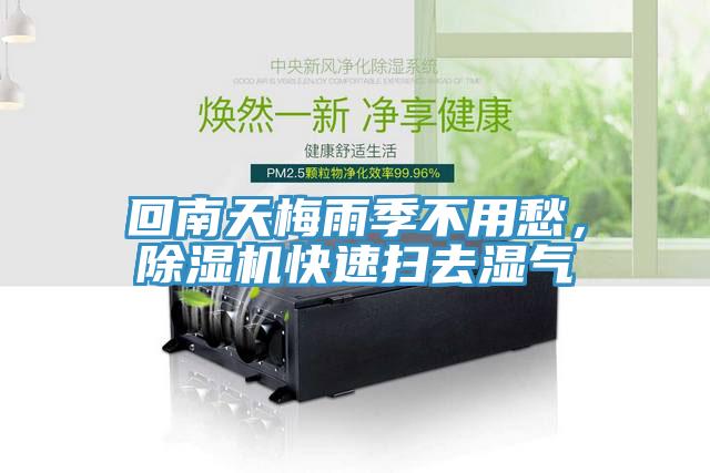 回南天梅雨季不用愁，91免费网站在线观看快速扫去湿气