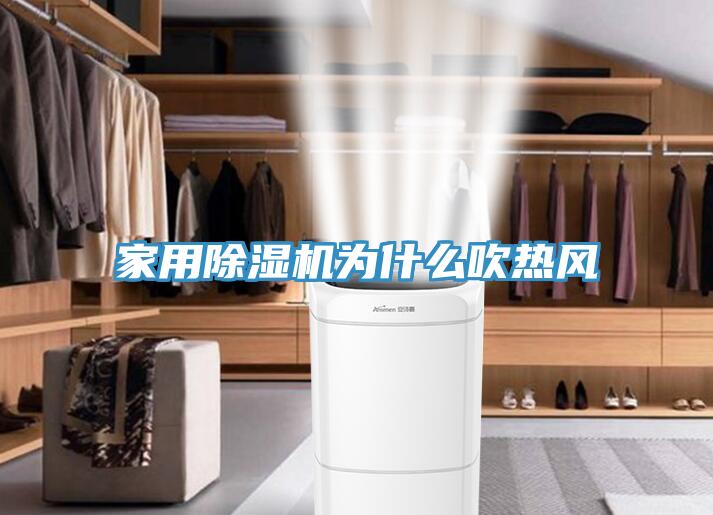 家用91免费网站在线观看为什么吹热风