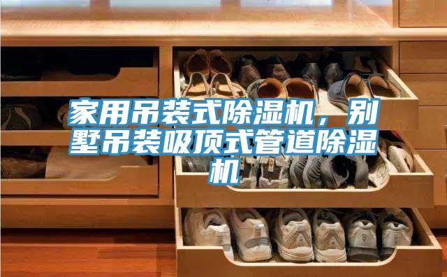 家用吊装式91免费网站在线观看，别墅吊装吸顶式管道91免费网站在线观看