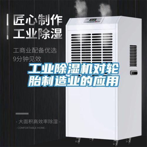 工业91免费网站在线观看对轮胎制造业的应用