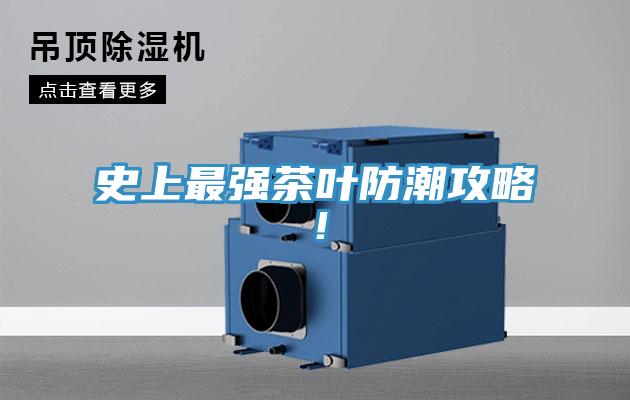 史上最强茶叶防潮攻略！