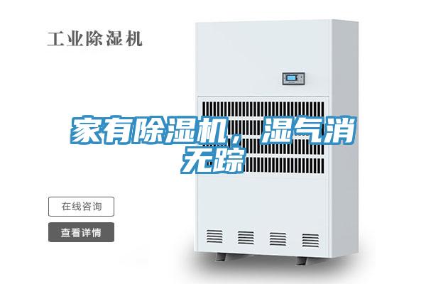 家有91免费网站在线观看，湿气消无踪