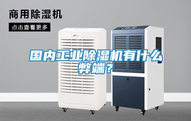 国内工业91免费网站在线观看有什么弊端？