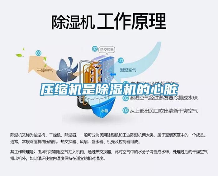 压缩机是91免费网站在线观看的心脏