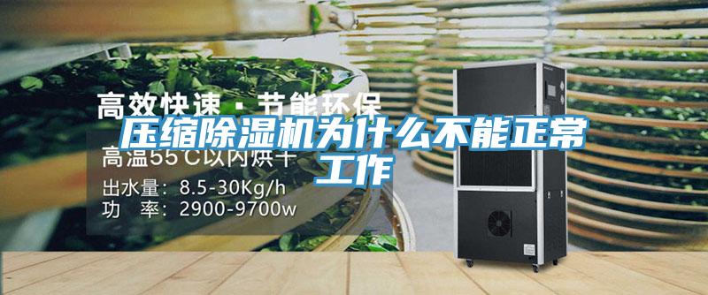 压缩91免费网站在线观看为什么不能正常工作